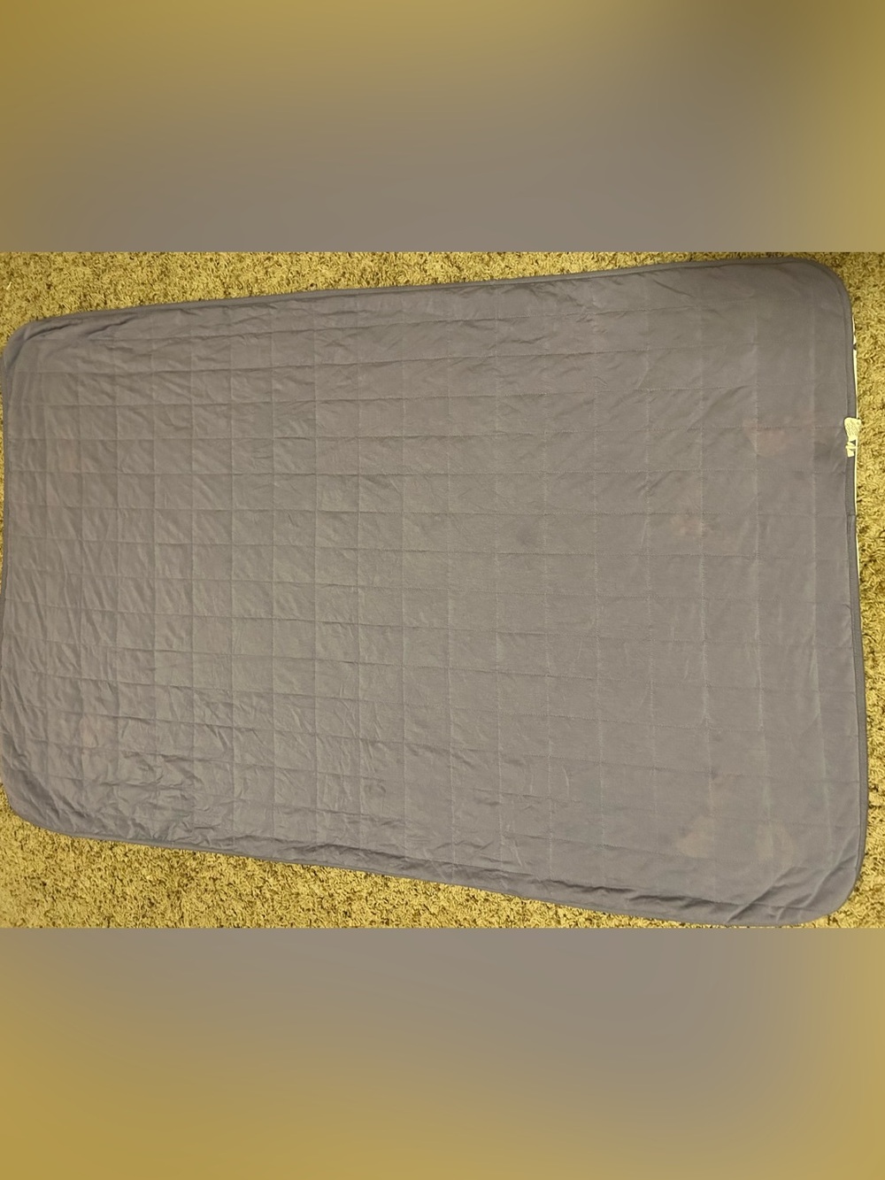 Kyte Baby Seahorse Bamboo Toddler Blanket - Picture 3 of 3